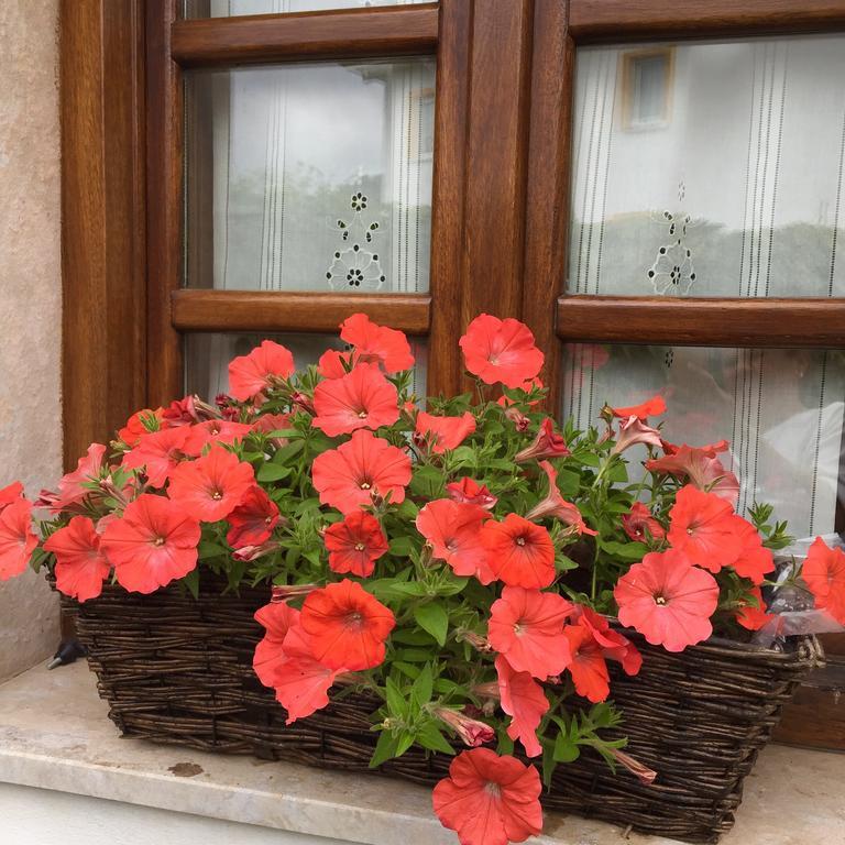 La Casona De Benito Guest House Кудилеро Екстериор снимка