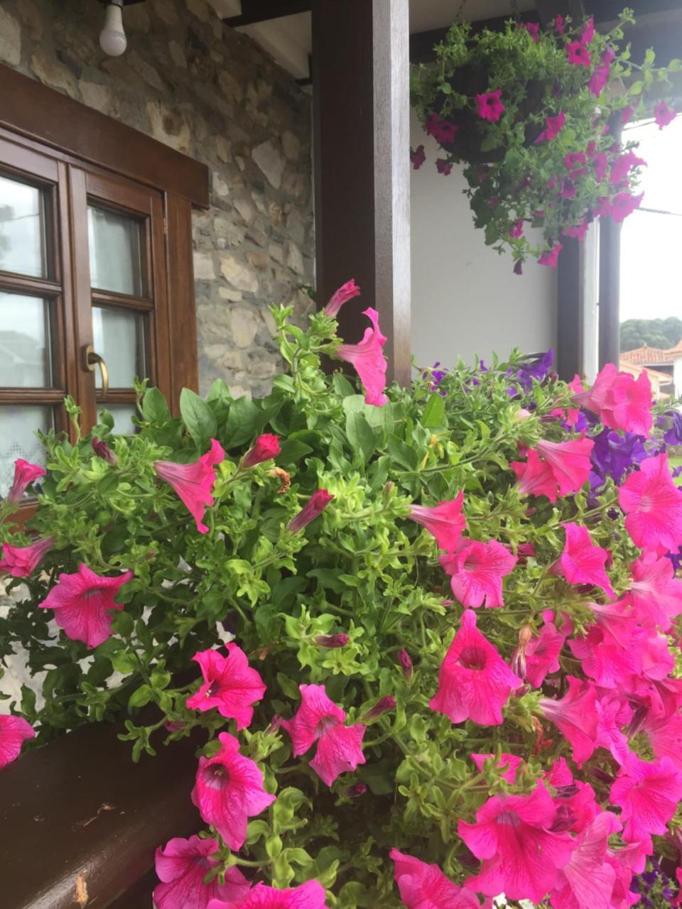 La Casona De Benito Guest House Кудилеро Екстериор снимка